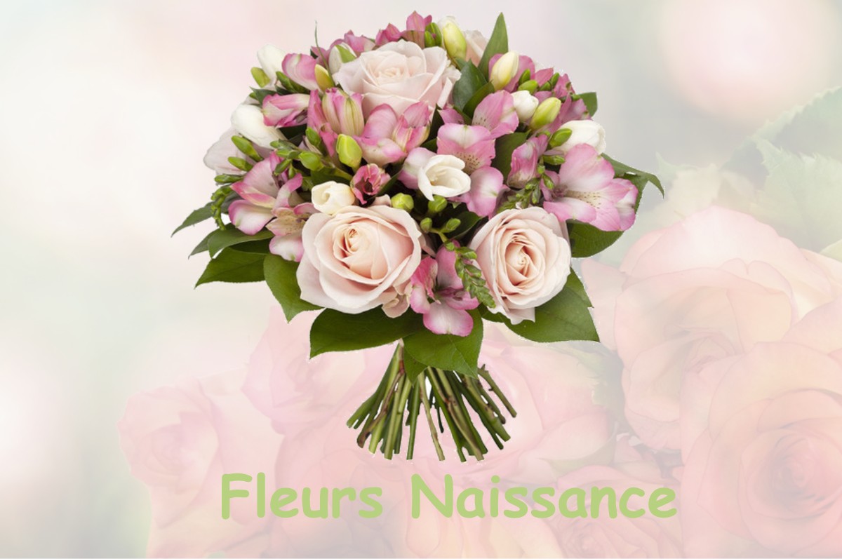 fleurs naissance ALBARET-SAINTE-MARIE